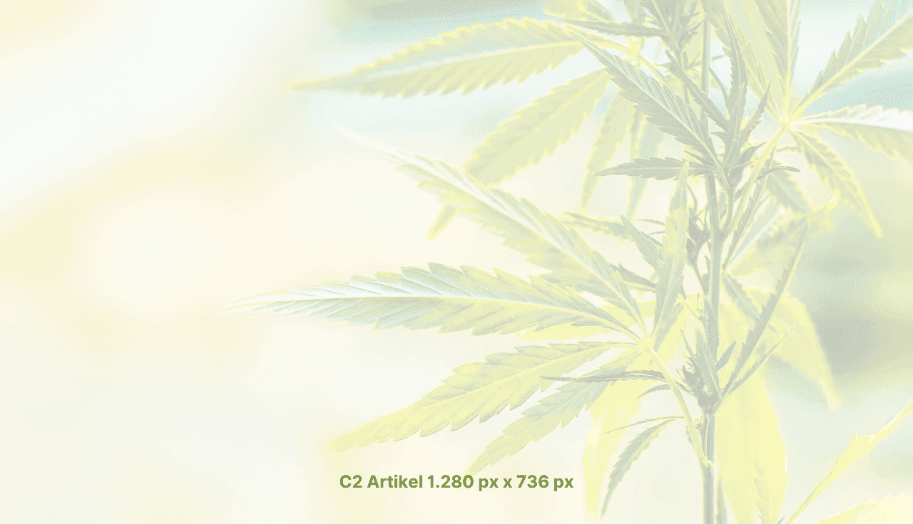 demo-apotheke-c2-image